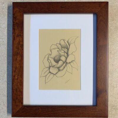 Graphite - Magnolia Thumbnail